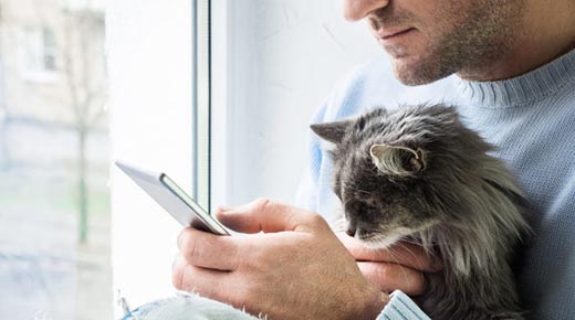 Mand sidder med sin kat og en telefon