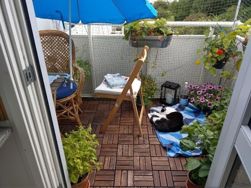 katte på altan