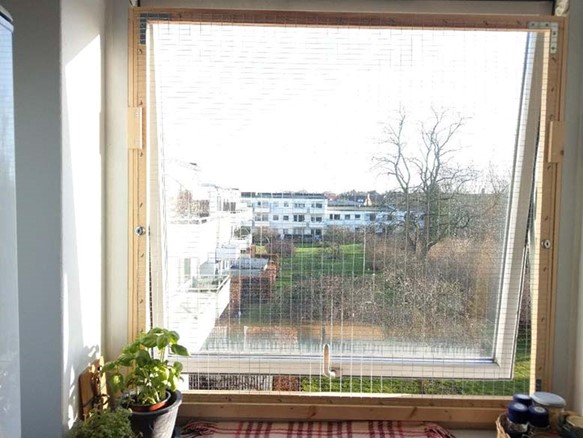 kattesikring med net for vindue
