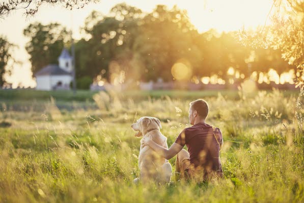 hund og mand sidder sammen udenfor