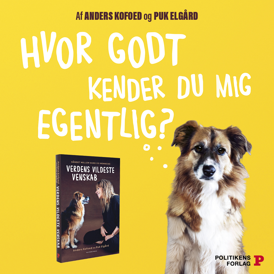Verdens vildeste venskab bog