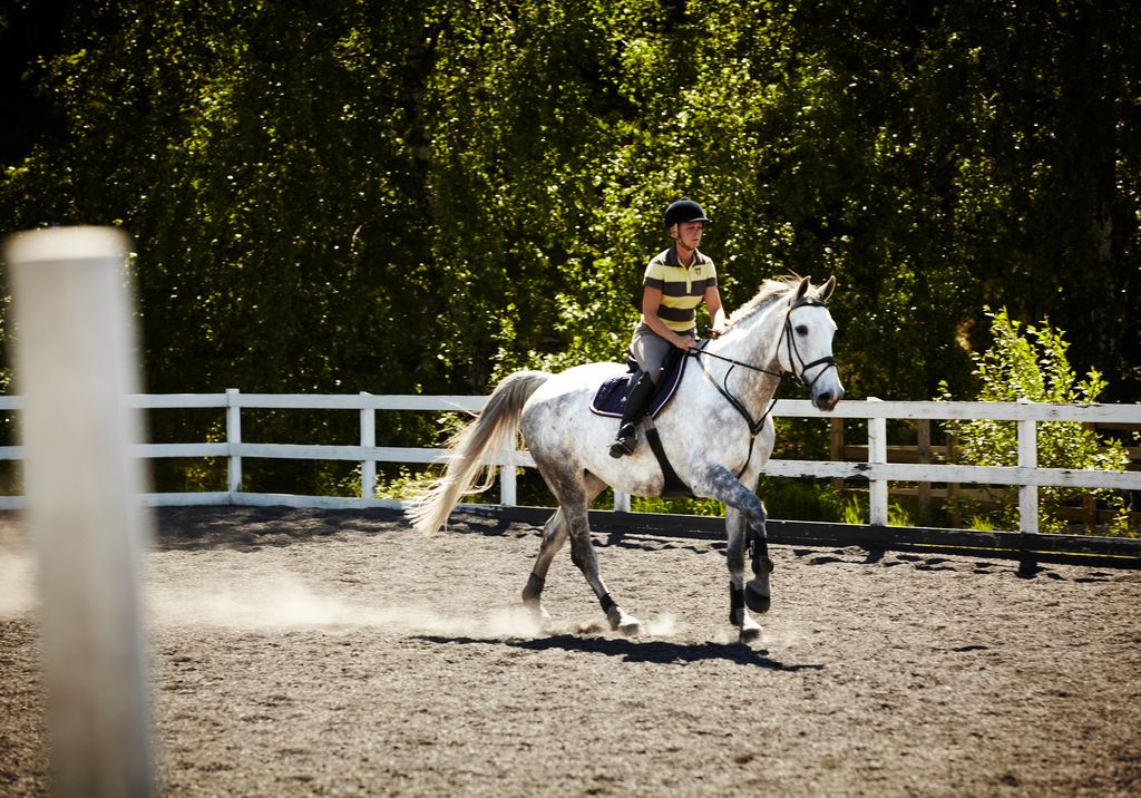 Rytter på hest - Husk at kontrollere sadel