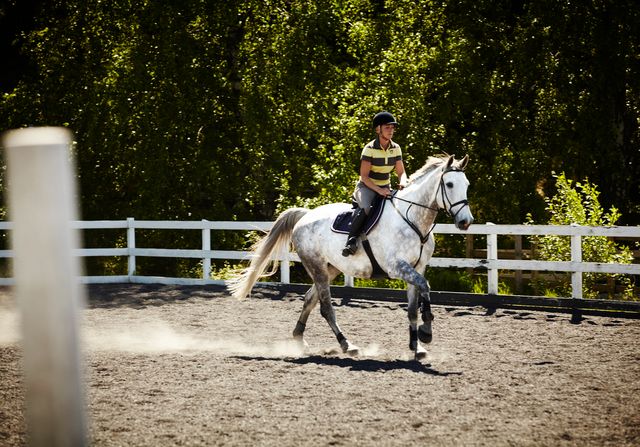 Rytter på hest - Husk at kontrollere sadel
