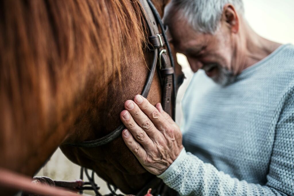 En mand krammer sin hest