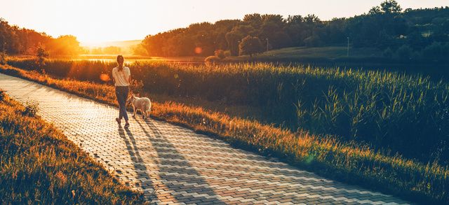 Kvinde går tur med hund