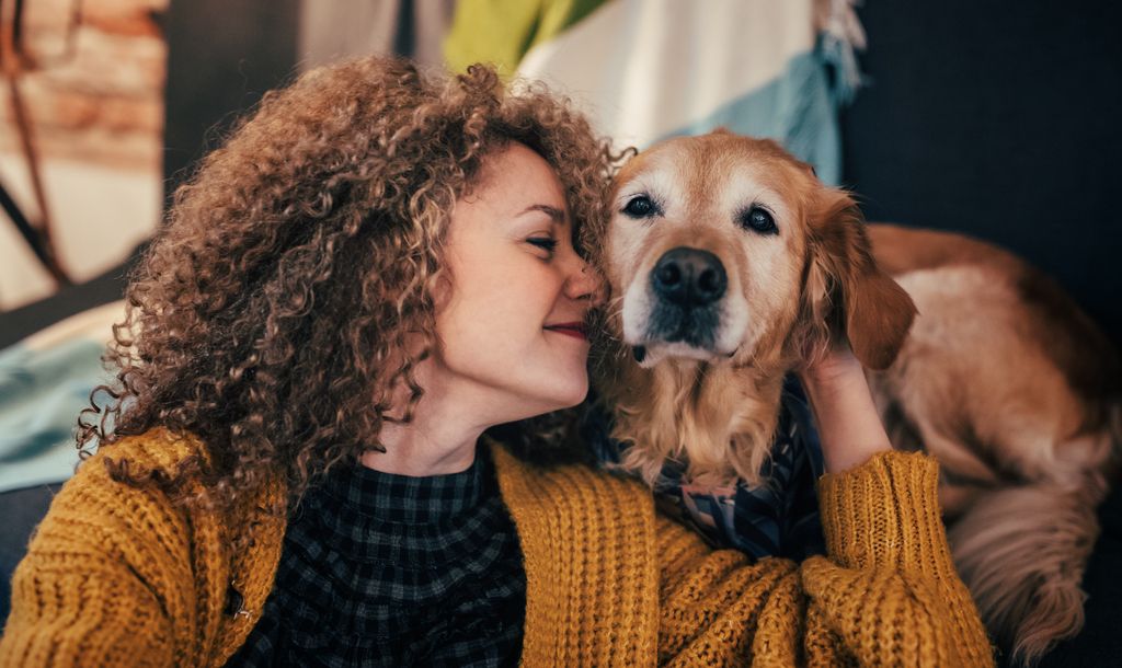 Ældre hund sammen med sin ejer
