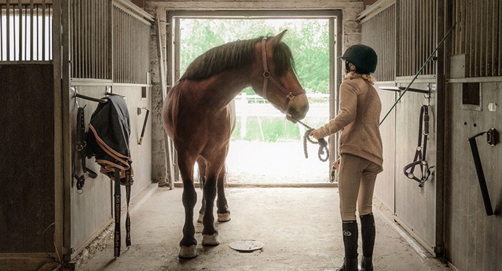 Pige med pony på staldgangen