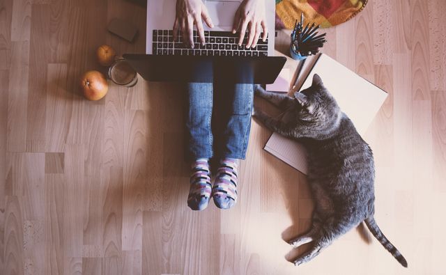 Kvinde sidder med computeren og katten ved siden af
