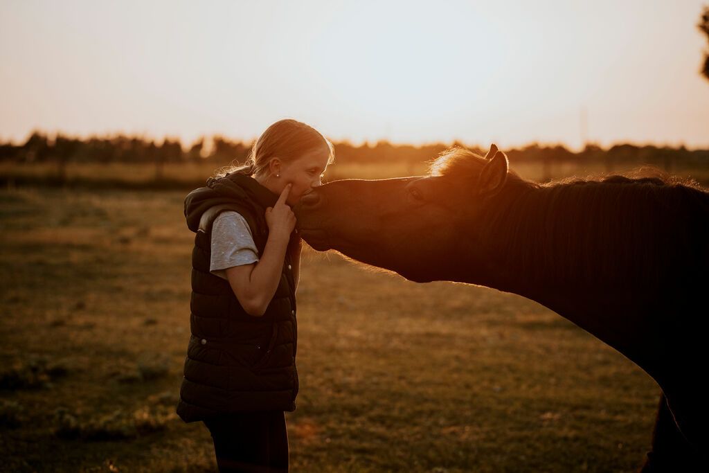 Pony giver pige et kys på folden