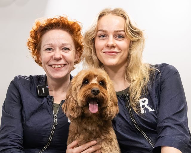 Rødovre Hundesalon - Nina Wæhrens