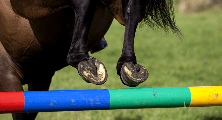 Hest, der springer barfodet