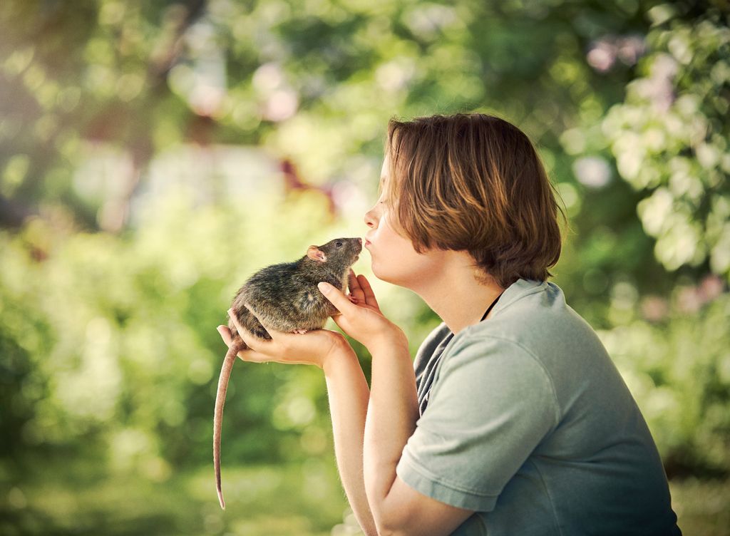 Dreng kysser sin rotte