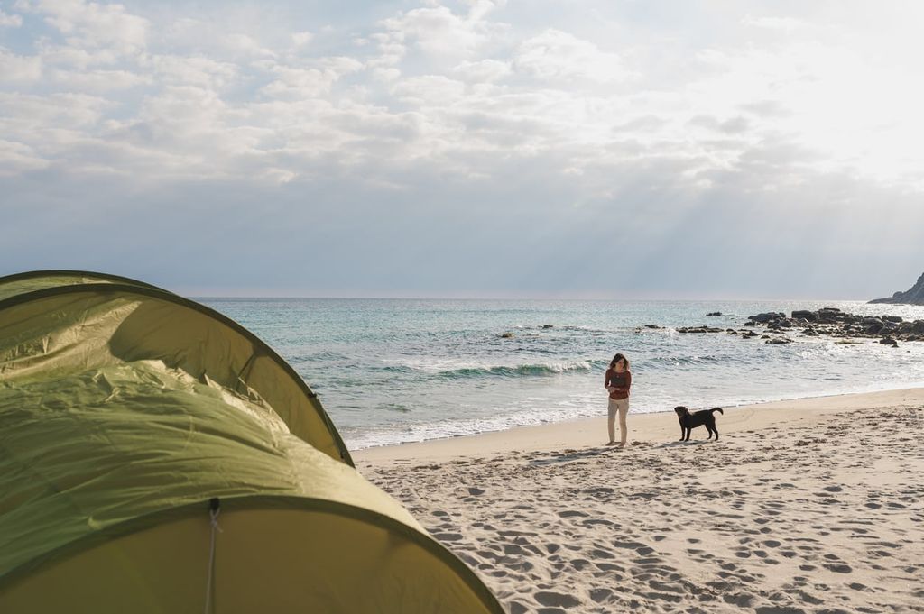 Om du planerar att resa till ett land där sandmyggor finns är det viktigt att skydda din hund, eftersom sandmyggor kan sprida Leishmania.