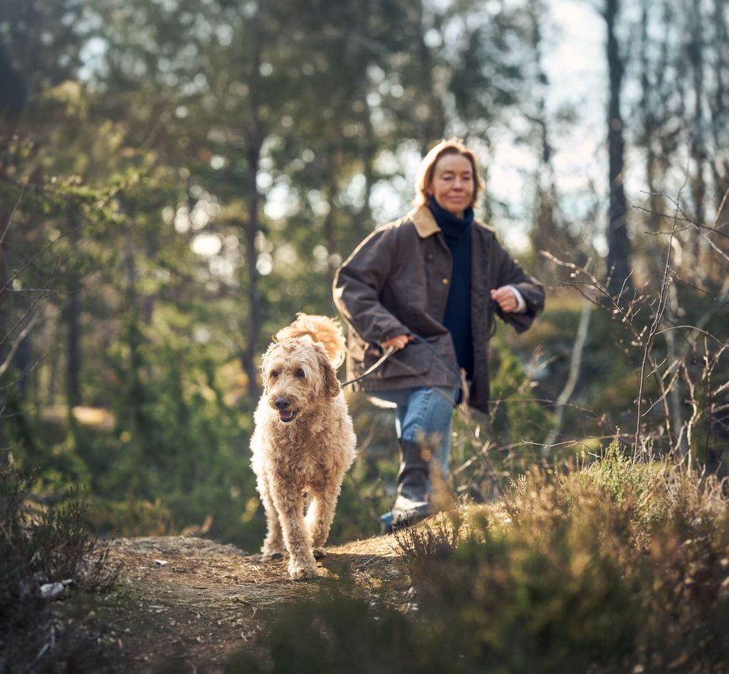 En kvinde går tur med en hund i skoven.