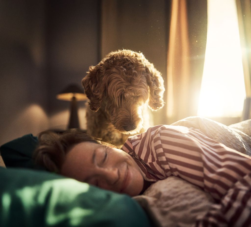 Hund kigger ned på sin ejer der ligger og sover