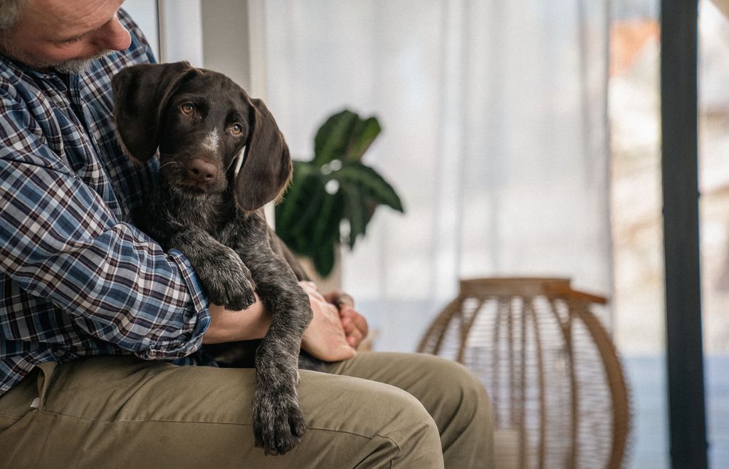 En person holder en hund i sit skød