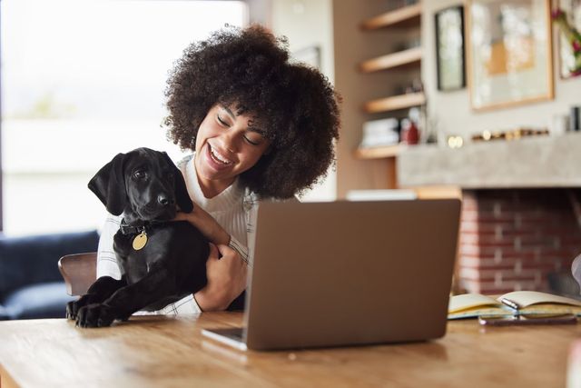 Kat, der sidder på en persons skød og kigger ind i en laptop.