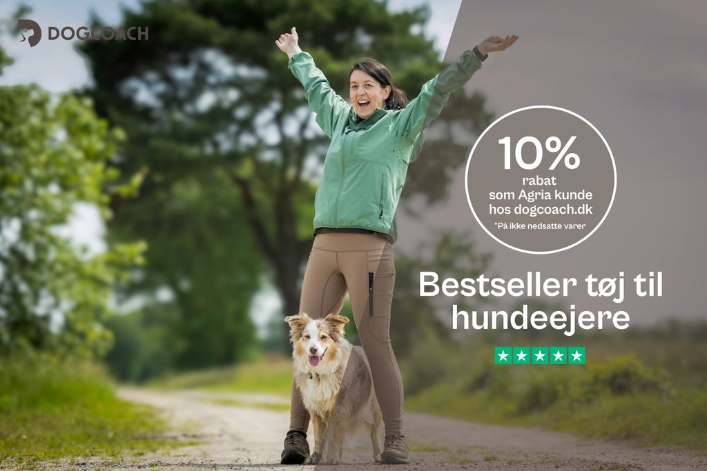 DogCoach 10% rabat