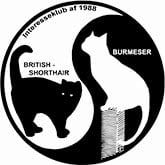 Specialklubben for british og burmesers logo