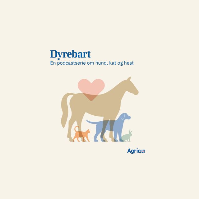 Dyrebart logo