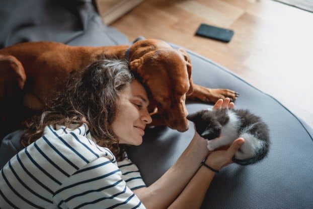 Kvinde ligger på en sofa med en kat og en hund