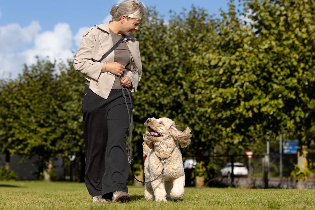 En kvinde går tur med en hund udenfor