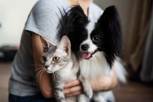 Kvinde med en hund og en kat