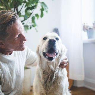 En mand nusser sin hund indenfor