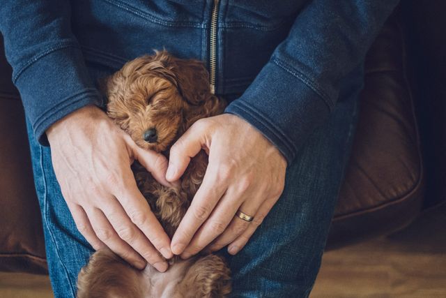 Mand former et hjerte med fingrene foran en hund
