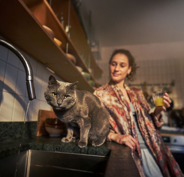 Kvinde med sin grå kat i køkkenet