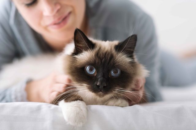 Kvinde med kat