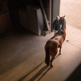 Hest står i stalden med en rytter