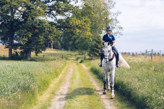 Hest og rytter ude at ride i naturen