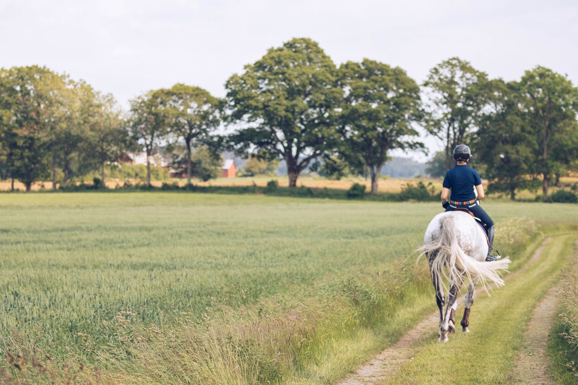 Mand er ude at ride i naturen