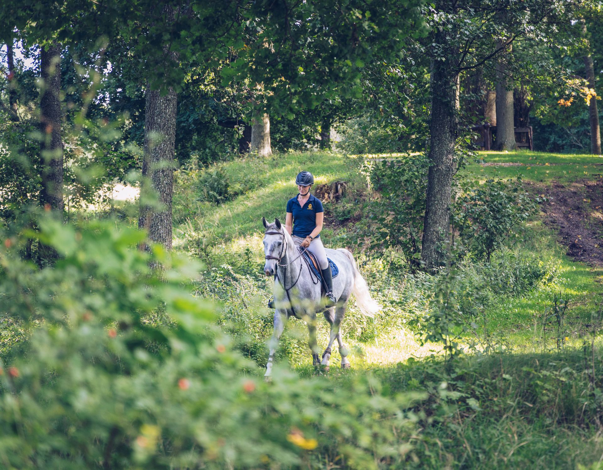 En hest og en rytter er ude og ride i skoven under Agria Naturridt
