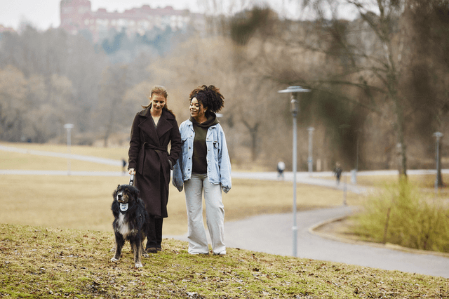 To personer går med deres hund i snor i en park.