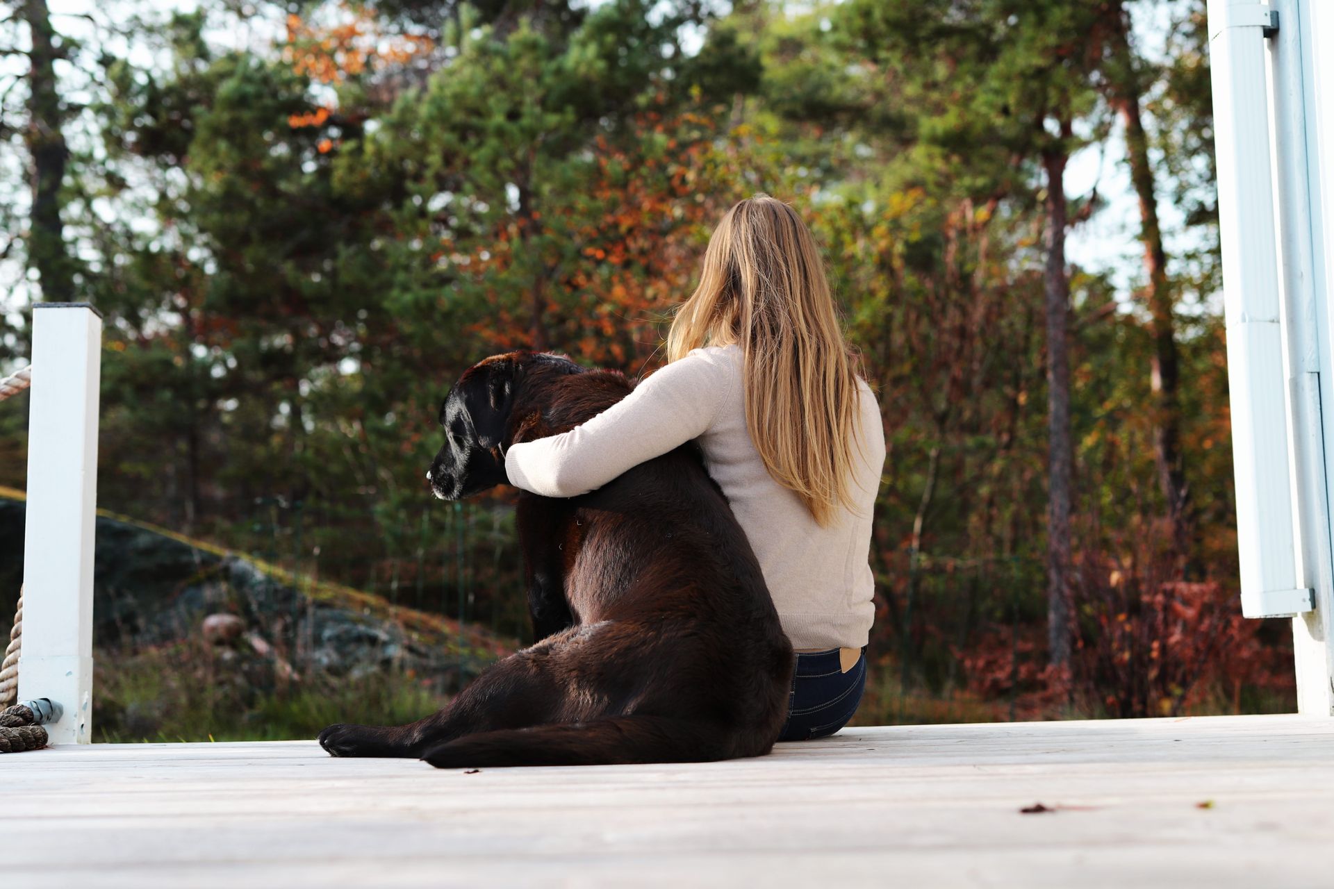 Ejeren holder om sin gamle hund.