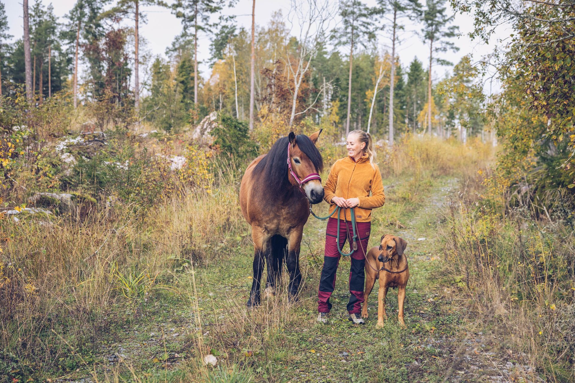 Hest snuser til en kat i armene på en kvinde