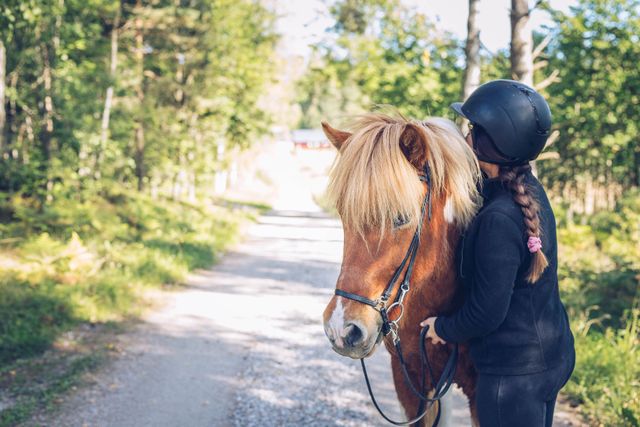 Hest bliver krammet af sin rytter på en grusvej