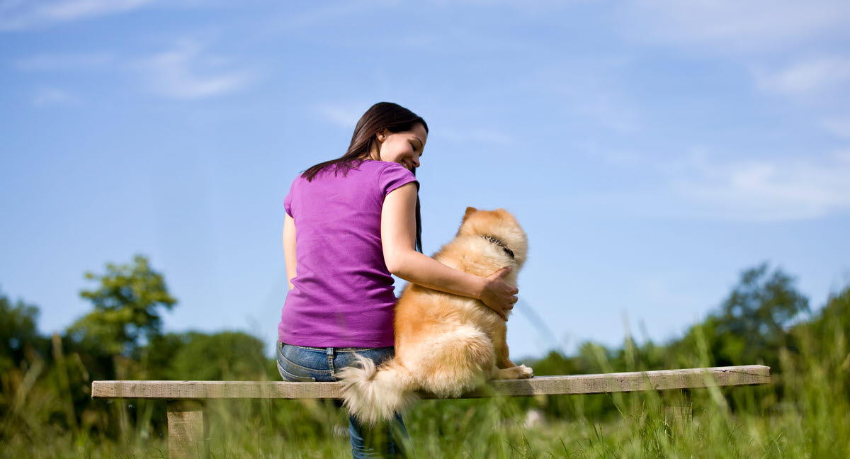 Neutralisering af din hund - Se fordele og her - Agria Dyreforsikring
