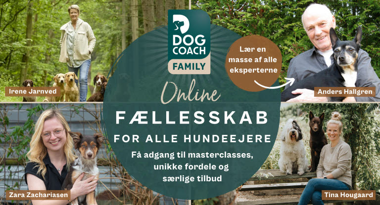 Personer som underviser i DogCoach Family