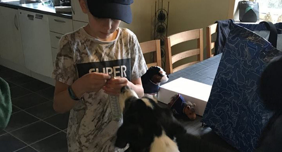 Dyrehelt: 11-årige Marcus har ADHD - hunden Molly hans humør og forhindrer, verden ramler - Agria Dyreforsikring