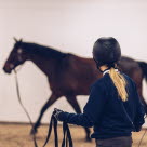 Kvinde longerer en hest