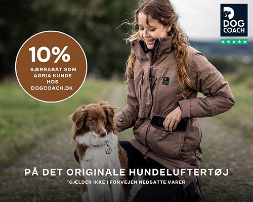 DogCoach medlemsfordel