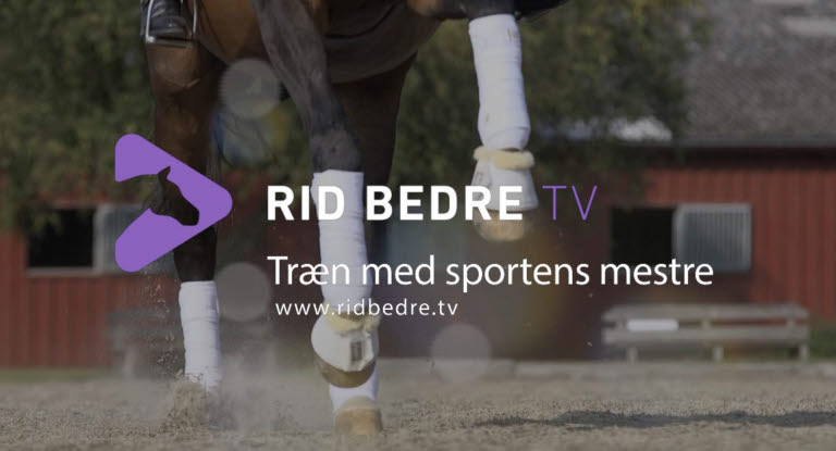 Rid bedre TVs logo over en hests ben