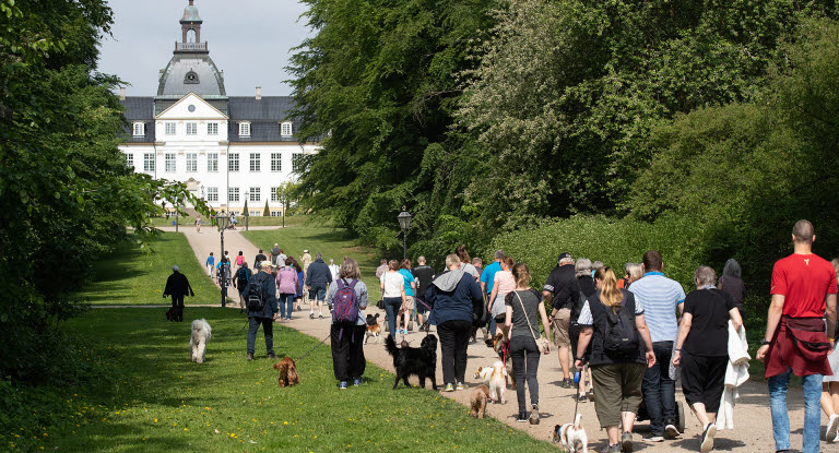 Agrias Hundegåtur i Charlottenlund 