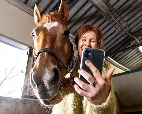 Få hjælp fra vores dyrlæger alle årets dage med vores online dyrlægetjeneste i Agrias app.