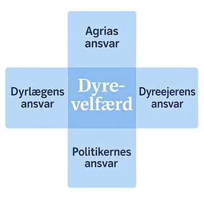 Hundepote i menneskehånd.