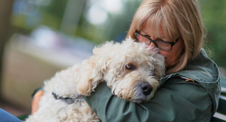 Xylitolforgiftning - Undgå at din hund bliver forgiftet - se vores råd - Agria Dyreforsikring