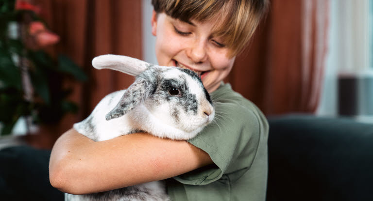 Dreng, der holder om sin kanin